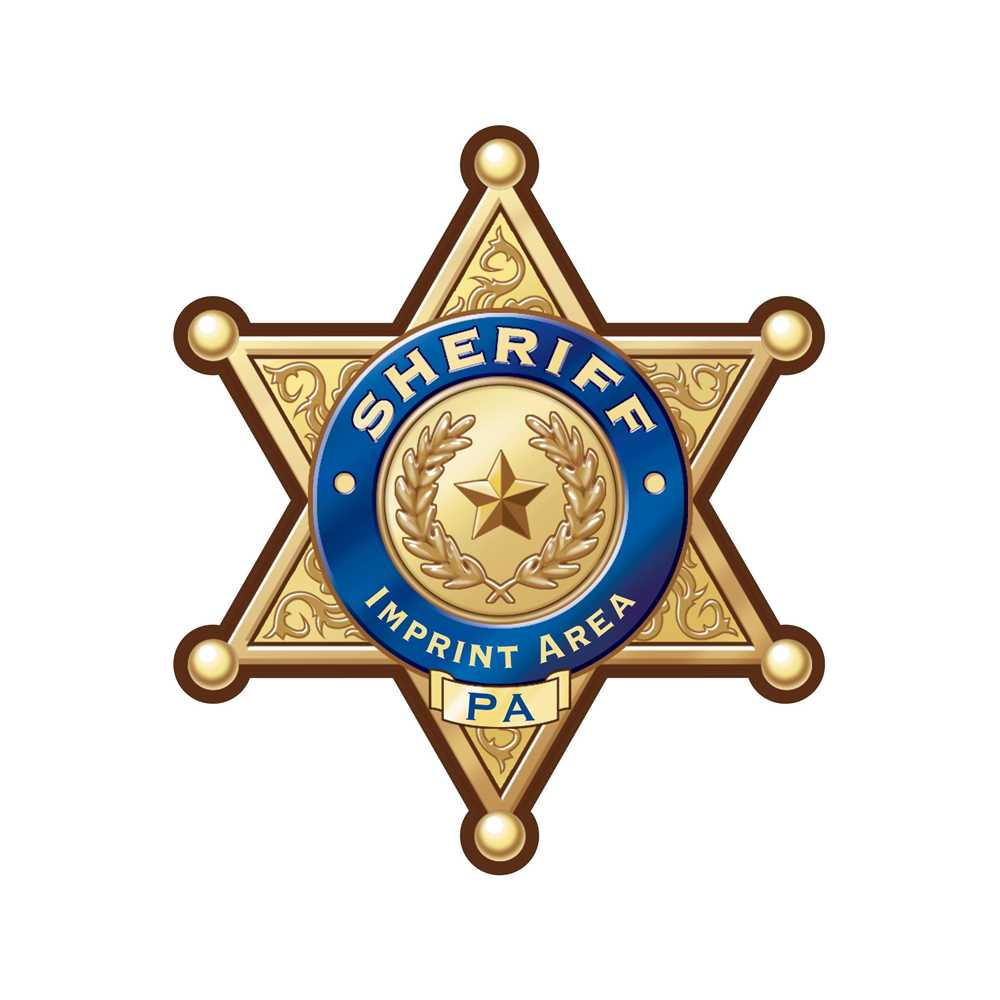 Junior Deputy Sheriff Badge Stickers - Badge Stickers for Kids - Police,  Fire, Sheriff and More
