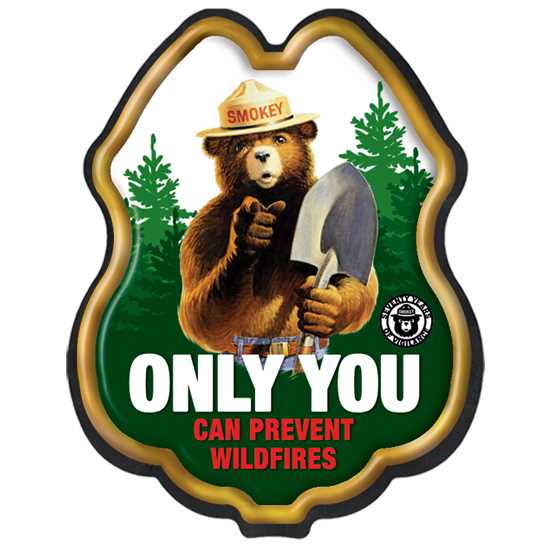 Smokey Bear Only You Can Prevent Wildfires Sticker Badge   SS66785SB2 